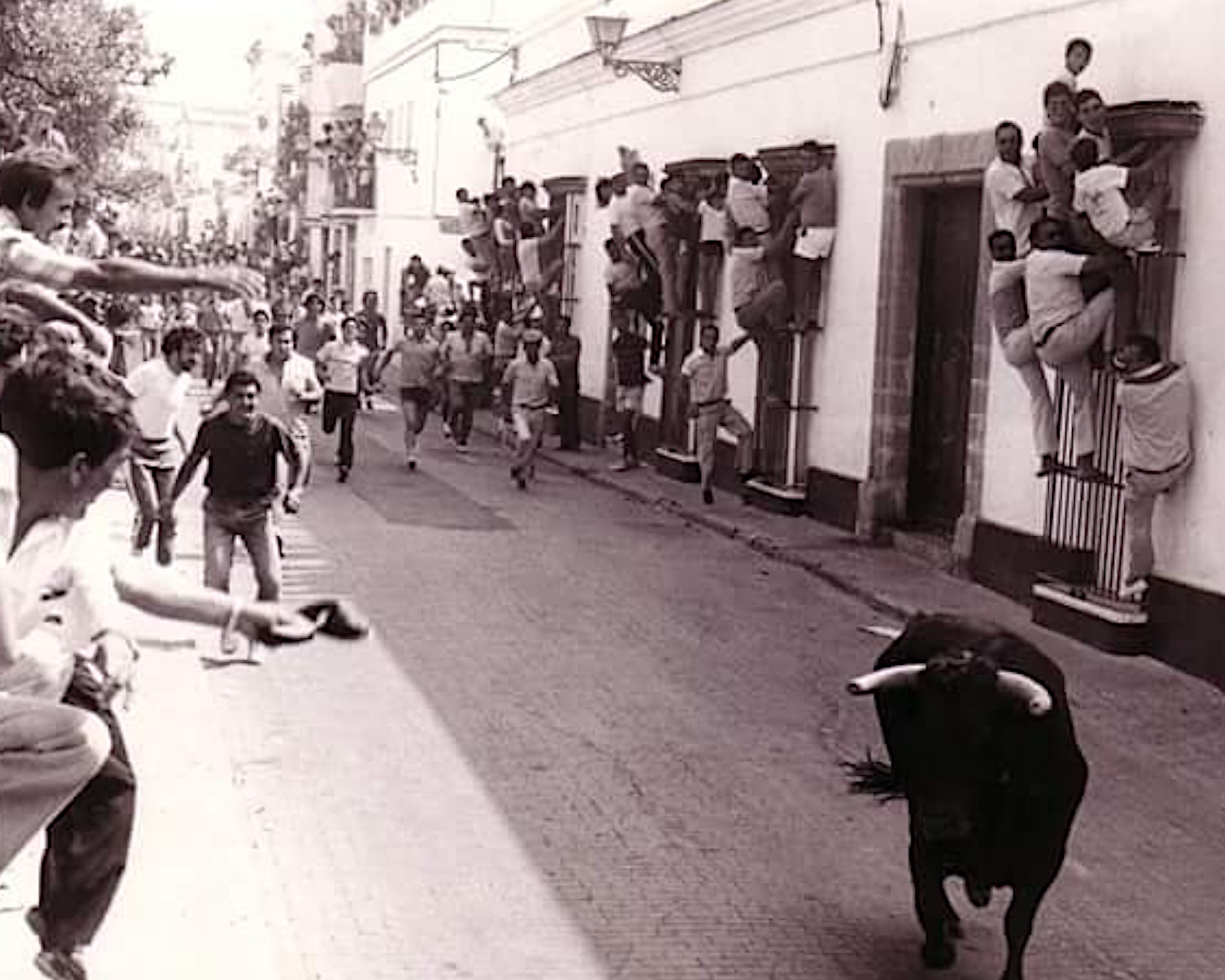 Toro del Aguardiente