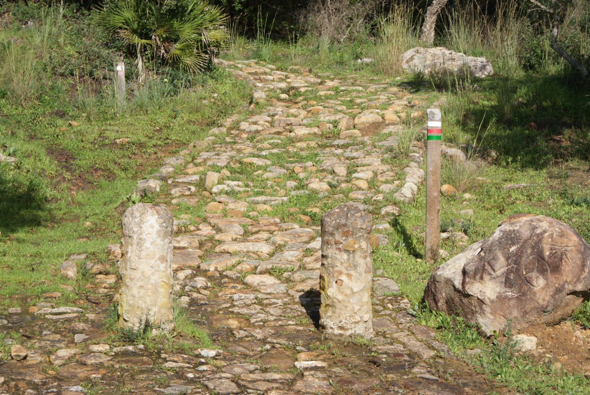 Calzada romana Dehesa Boyal
