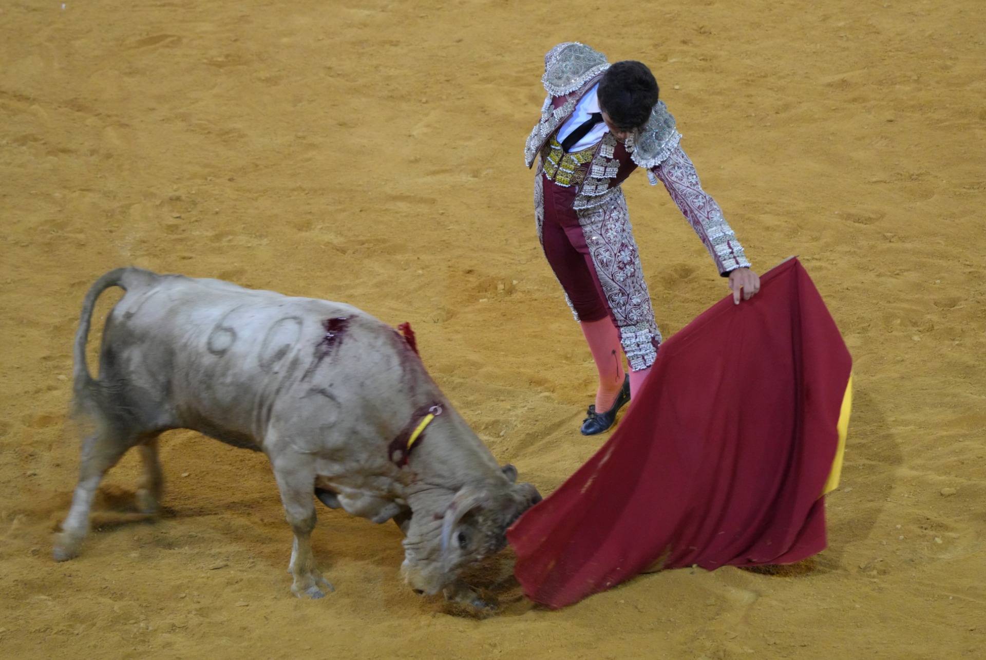 Celso Ortega