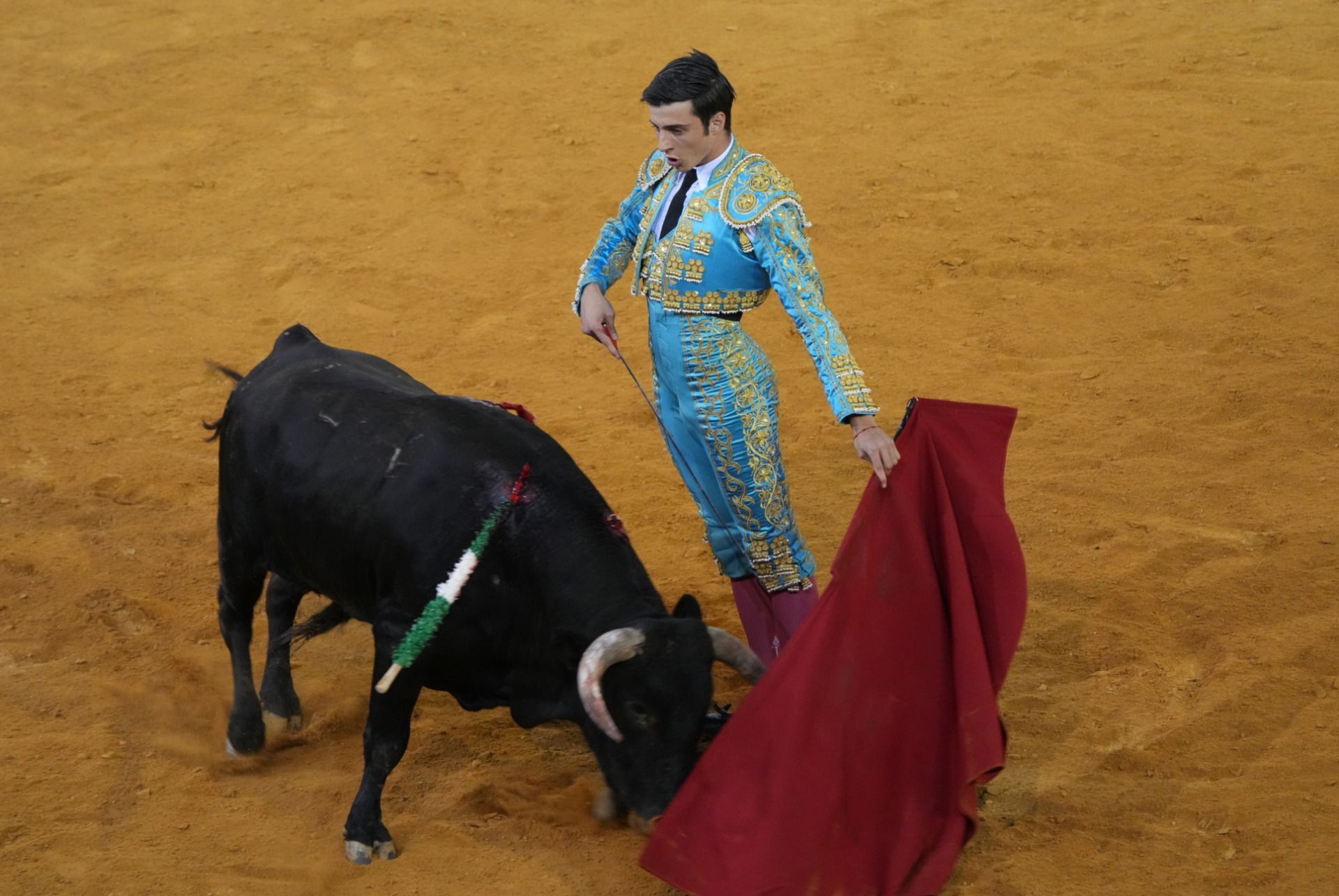Alfonso Morales