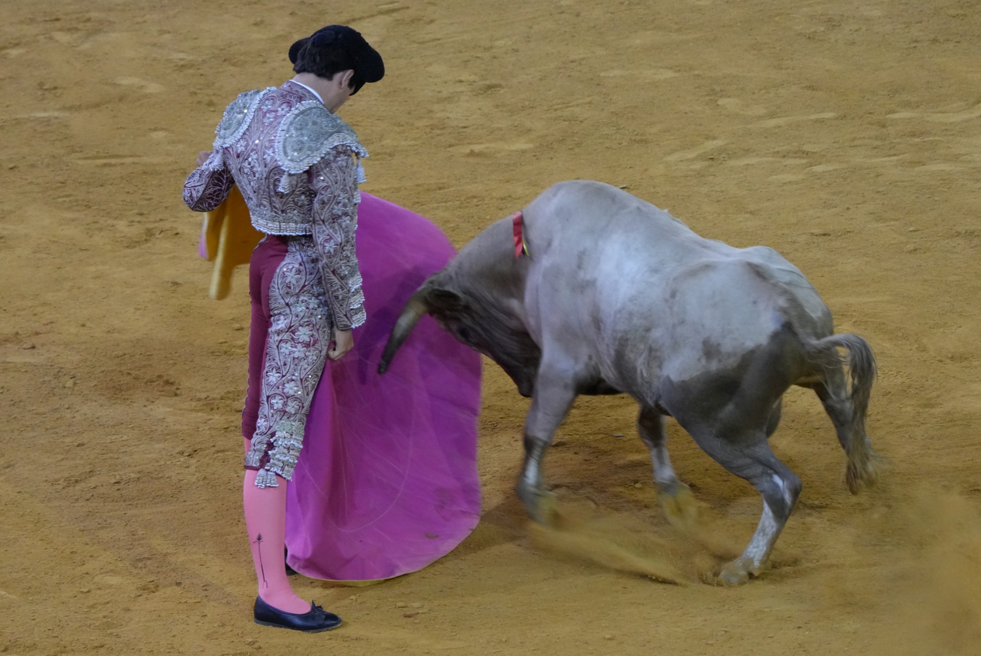 Celso Ortega