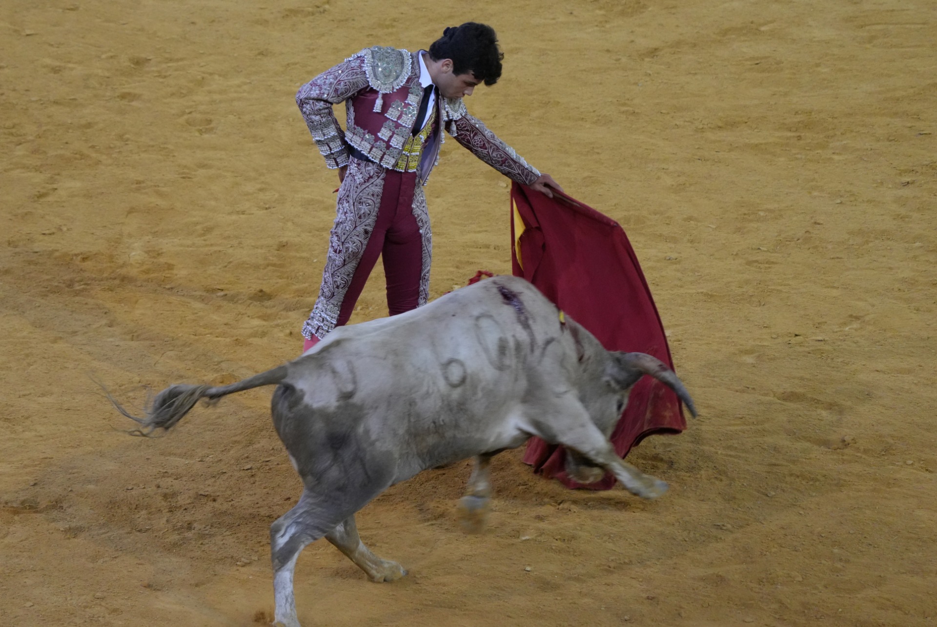 Celso Ortega