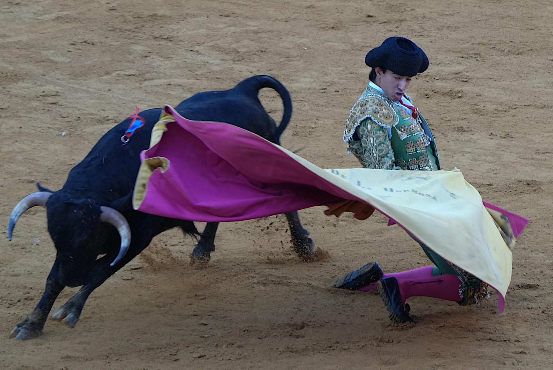 Pedro de la Hermosa