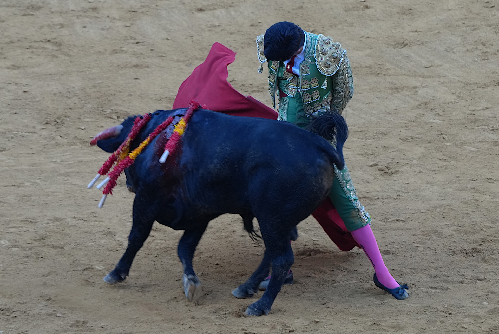 Pedro de la Hermosa