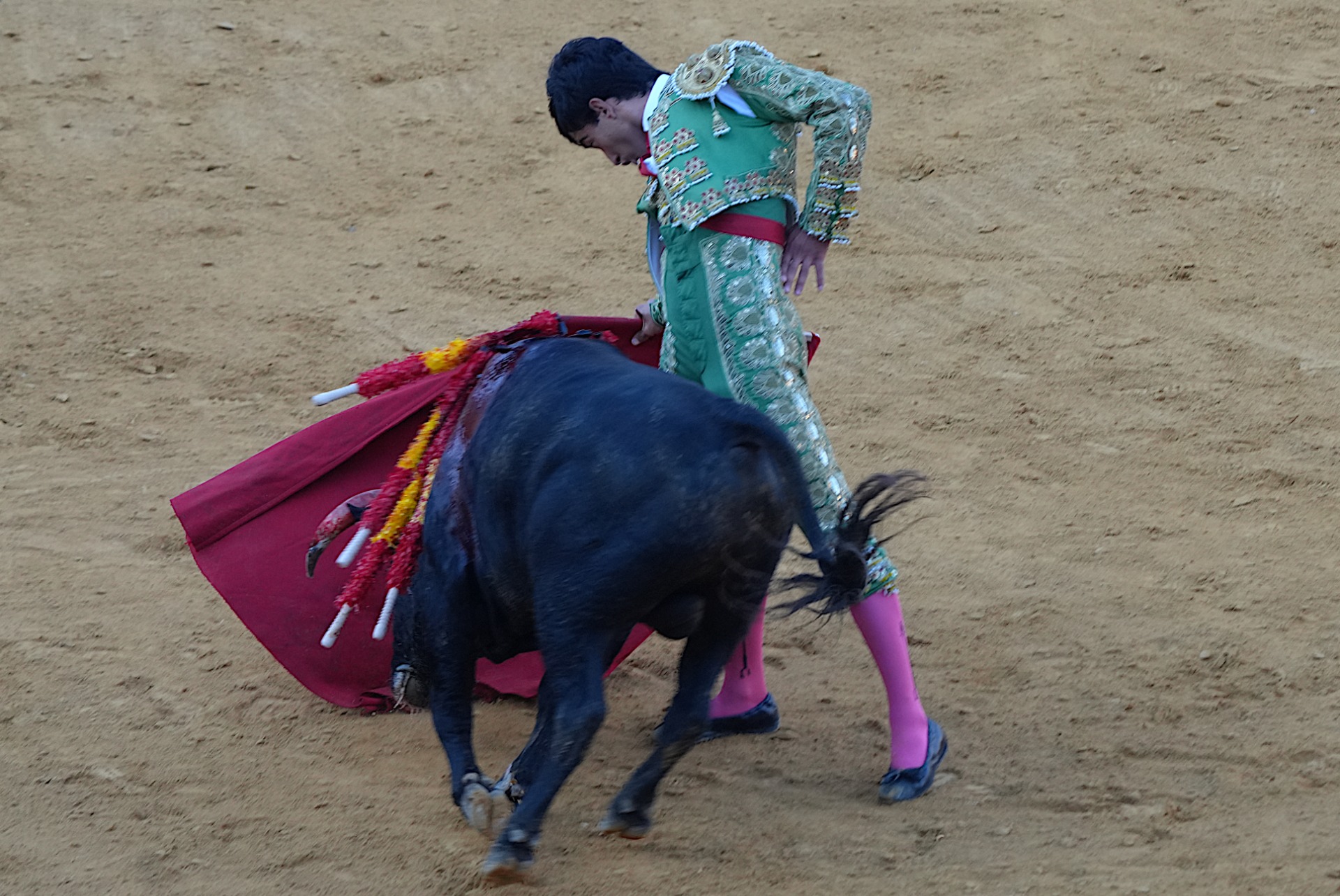 Pedro de la Hermosa