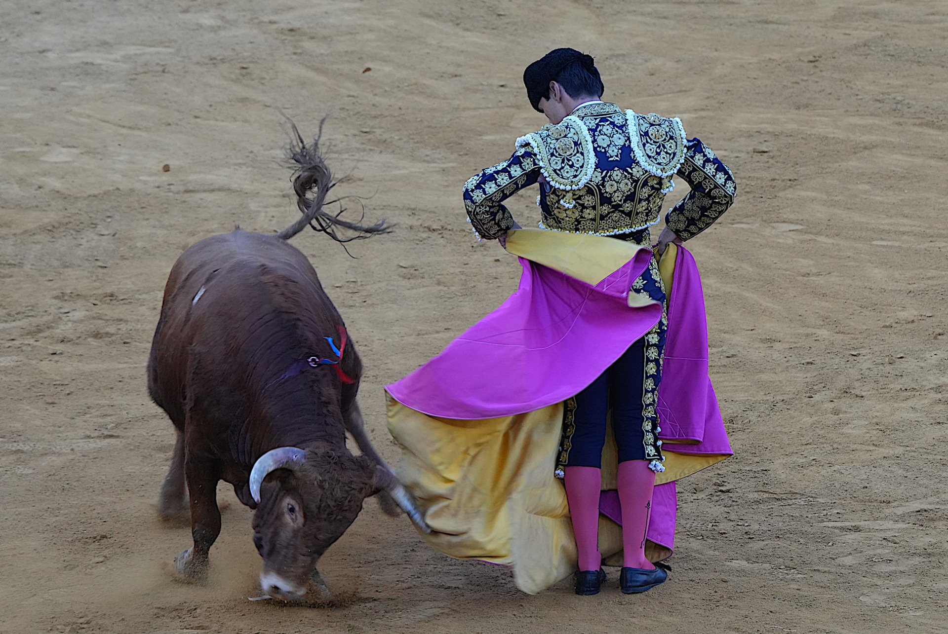 Paco Benito