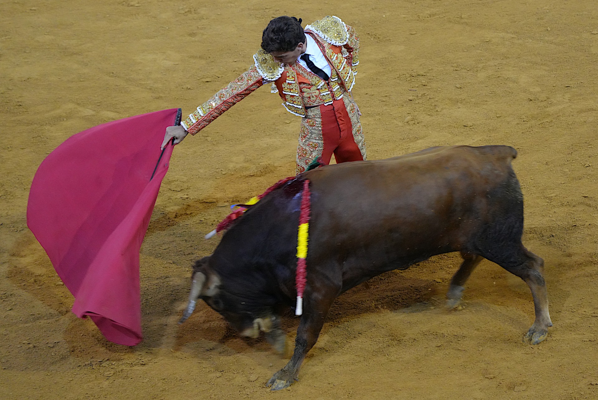 Iñigo Norte