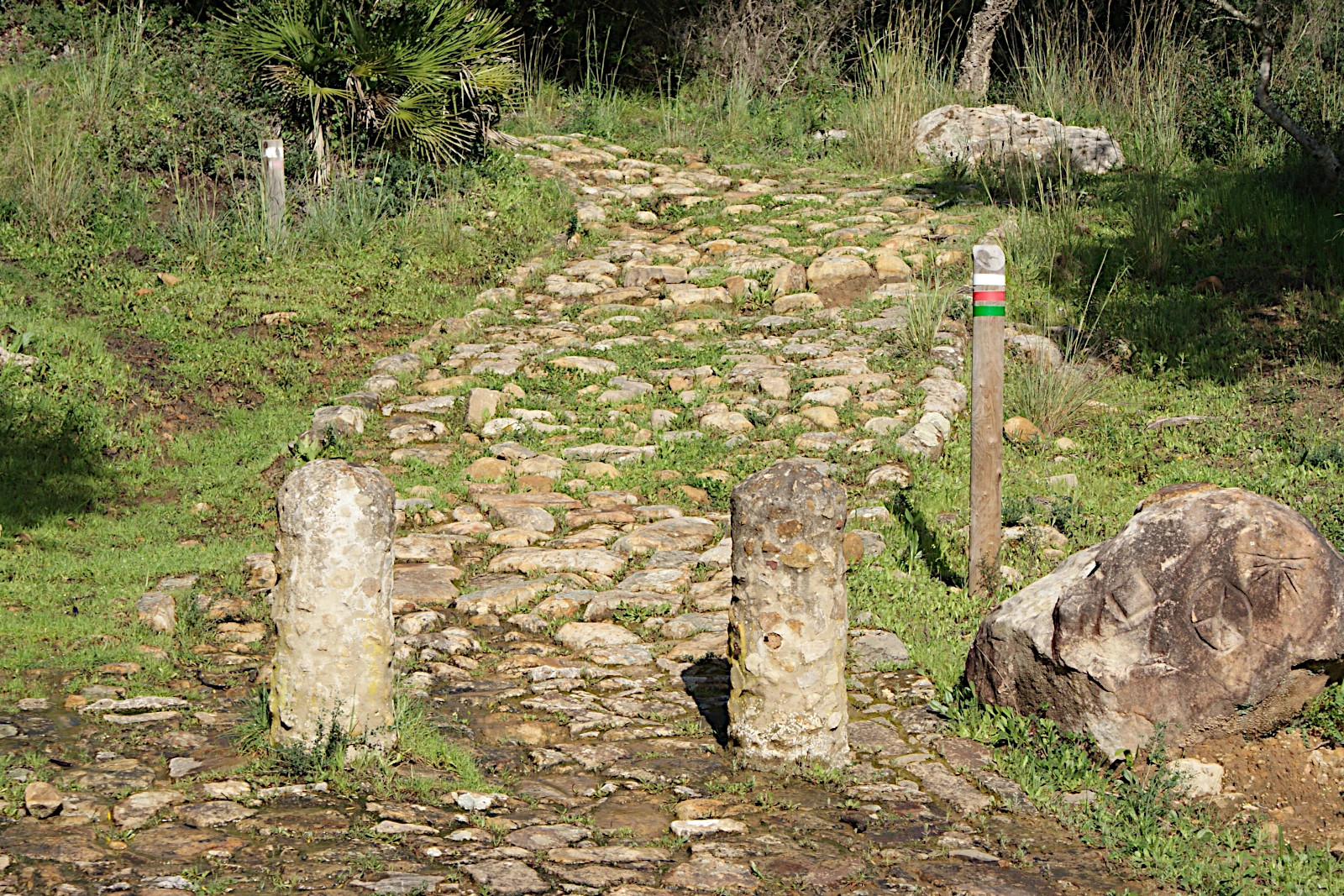 Calzada romana Dehesa del Boyal