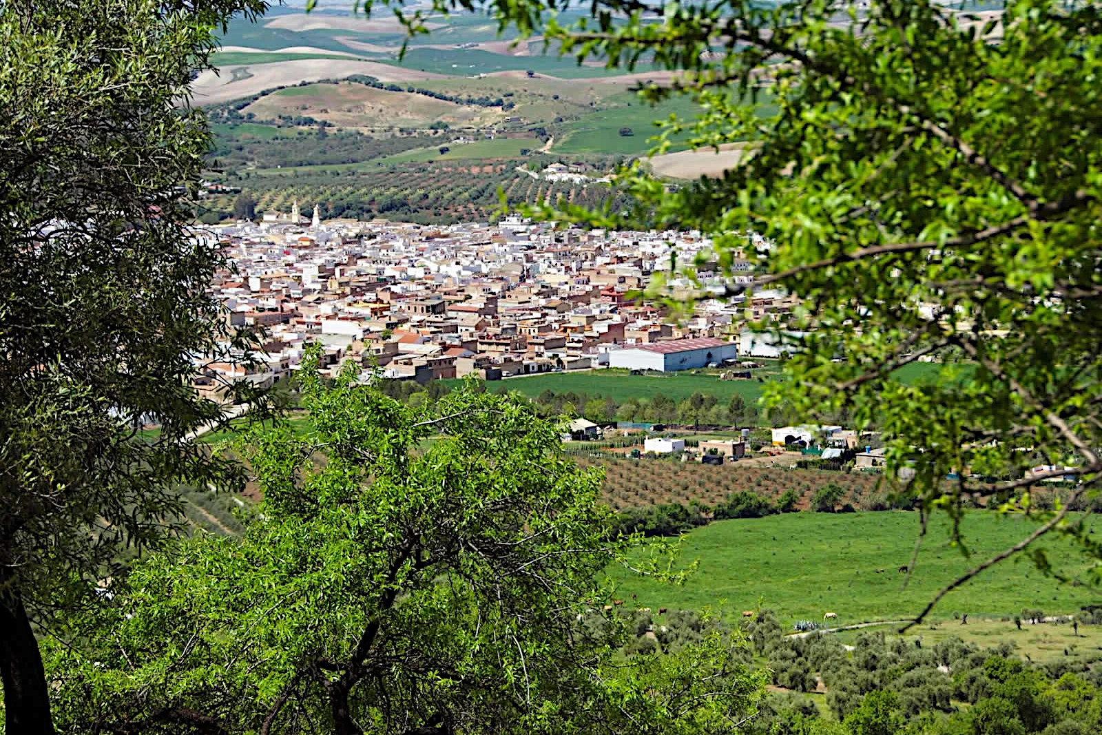 Puerto Serrano