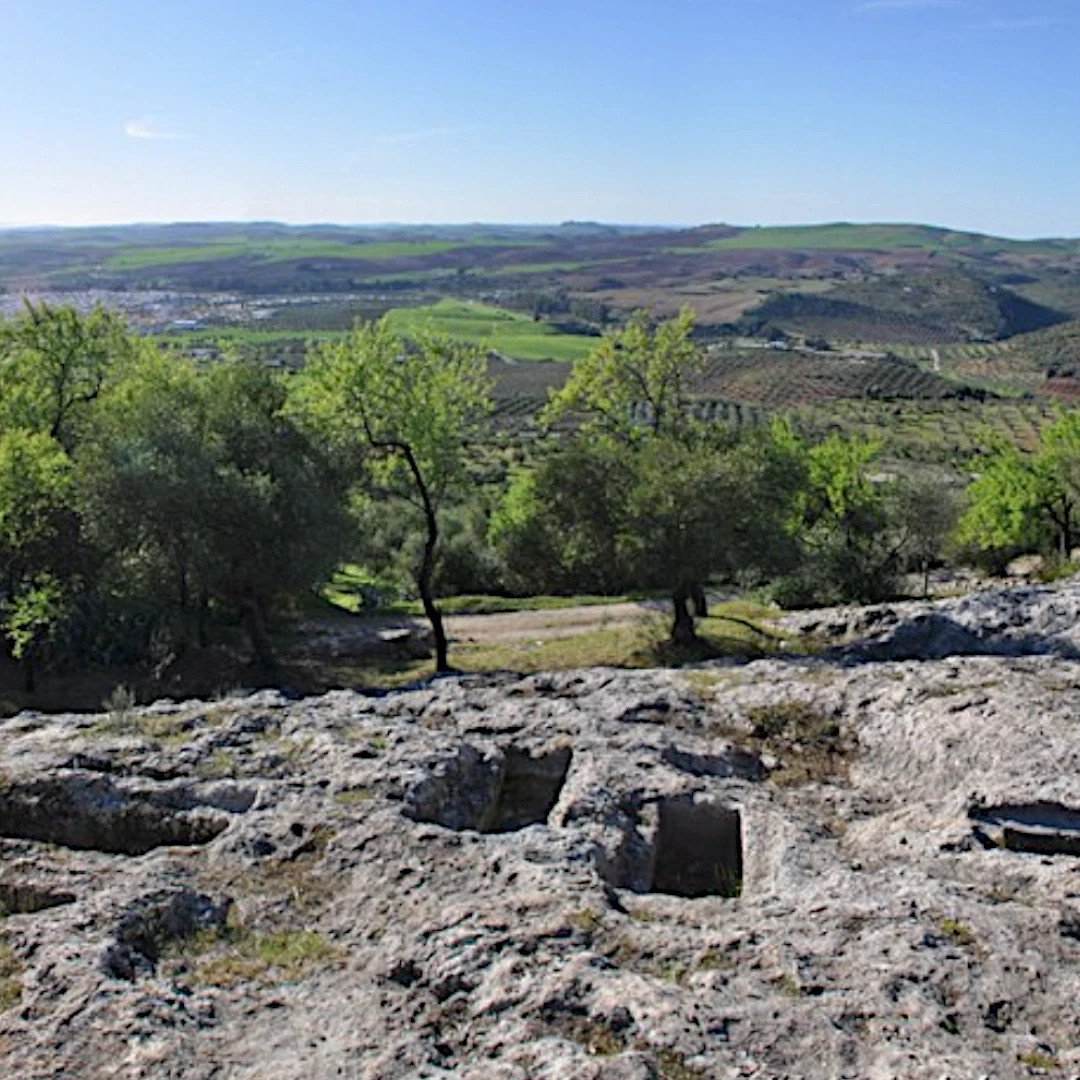Necrópolis de la Ermita Nueva