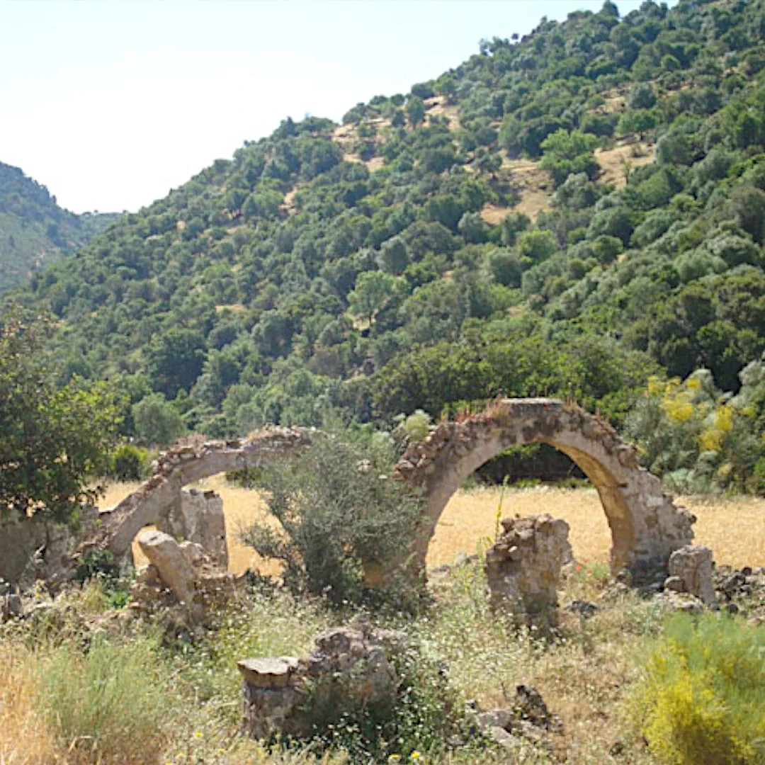 Restos de Villa Romana