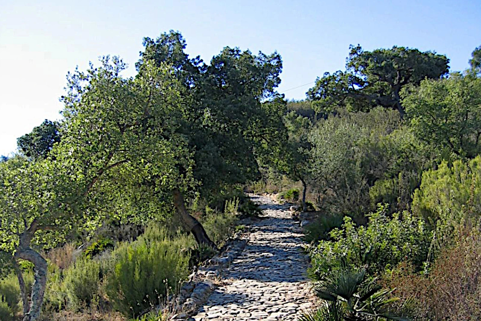 Calzada romana Dehesa Boyal