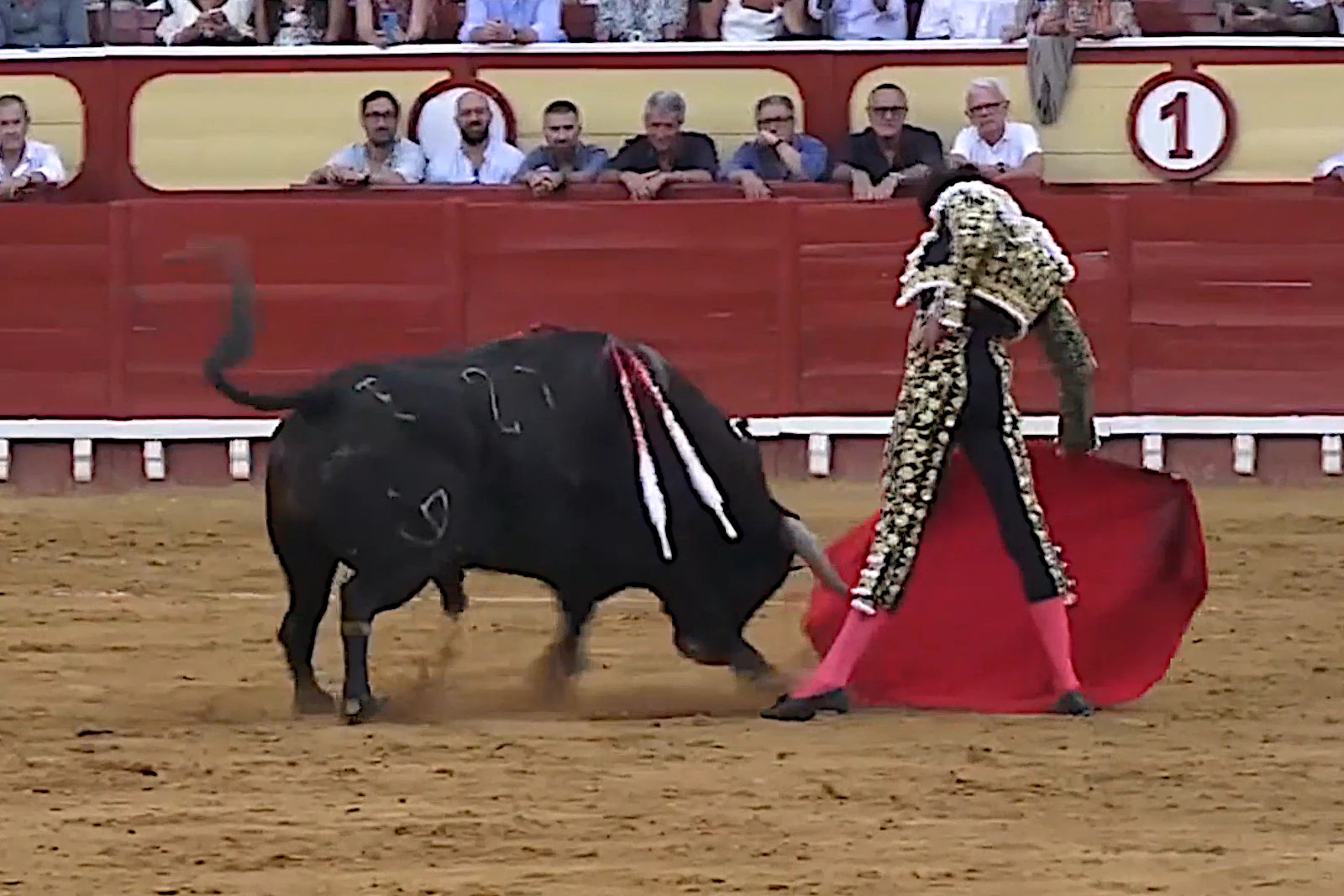 "Encendido" Núñez del Cuvillo / Roca Rey