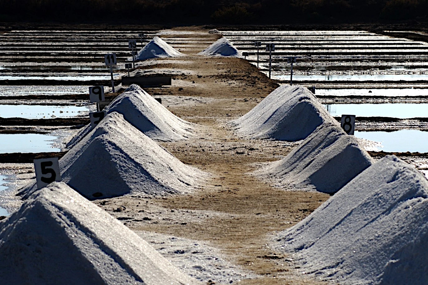 Salinas de Esteros (Cádiz)