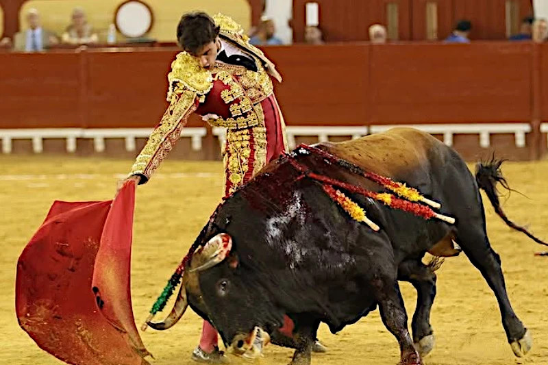 Gonzalo Capdevila