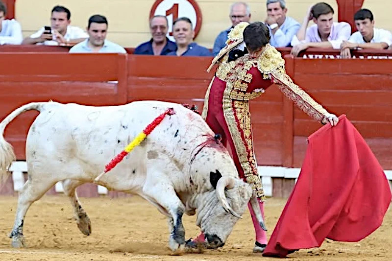Gonzalo Capdevila