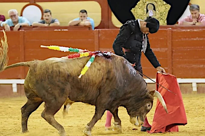Samuel Castrejón