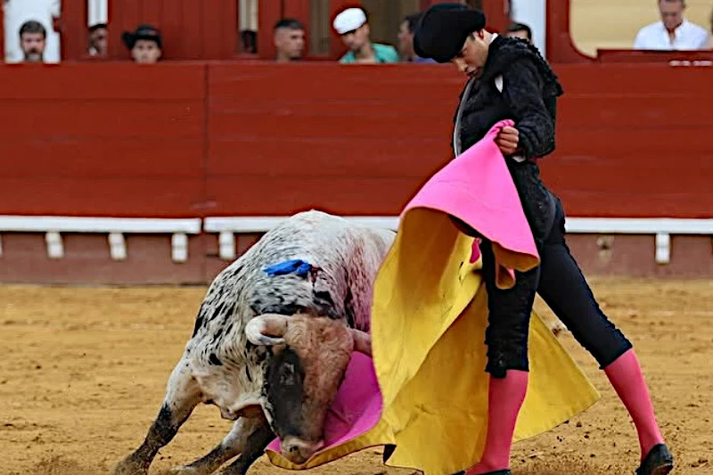 Samuel Castrejón