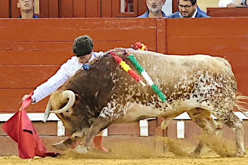 Antonio Santana