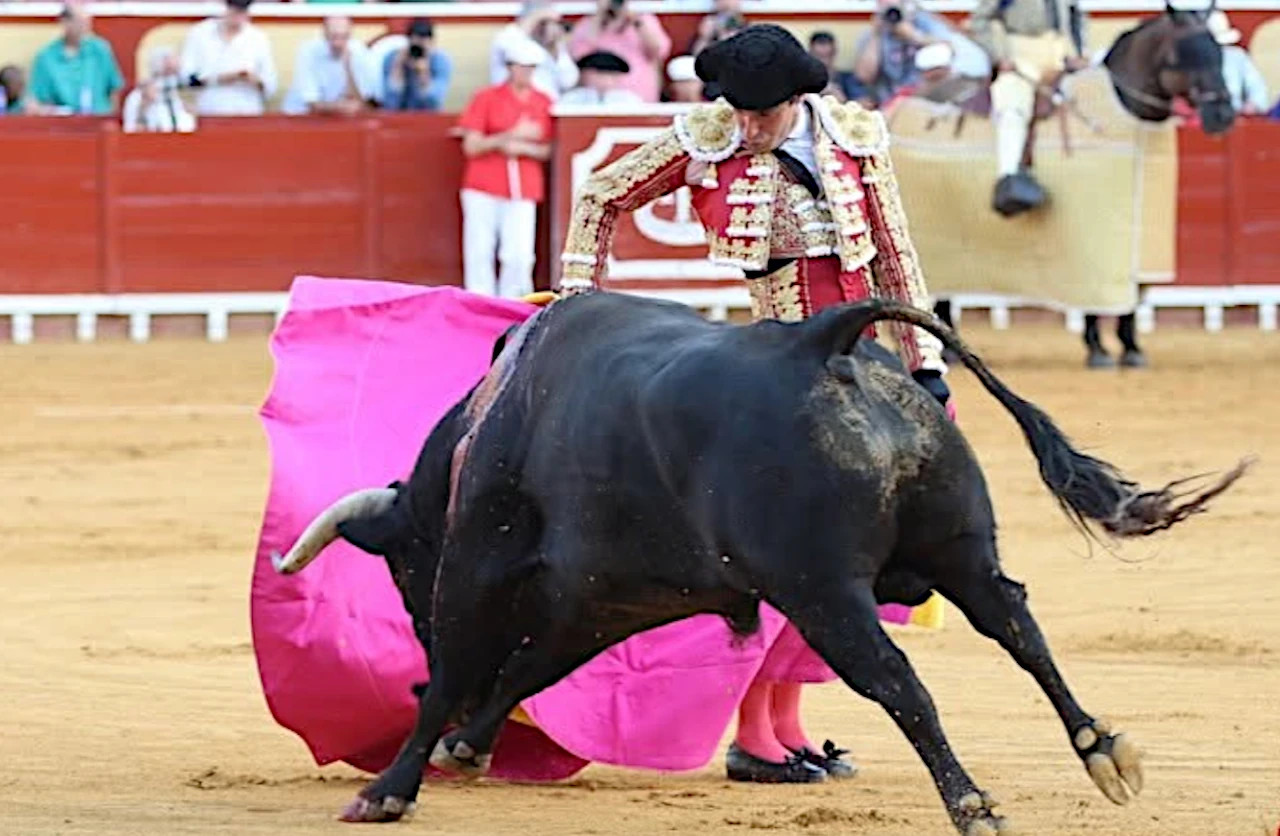 Alejandro Talavante