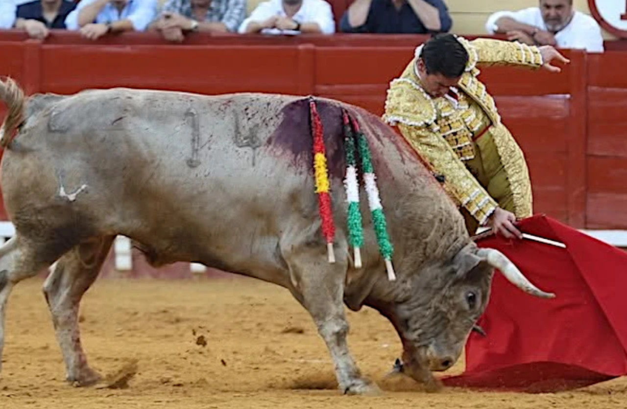 Juan Ortega