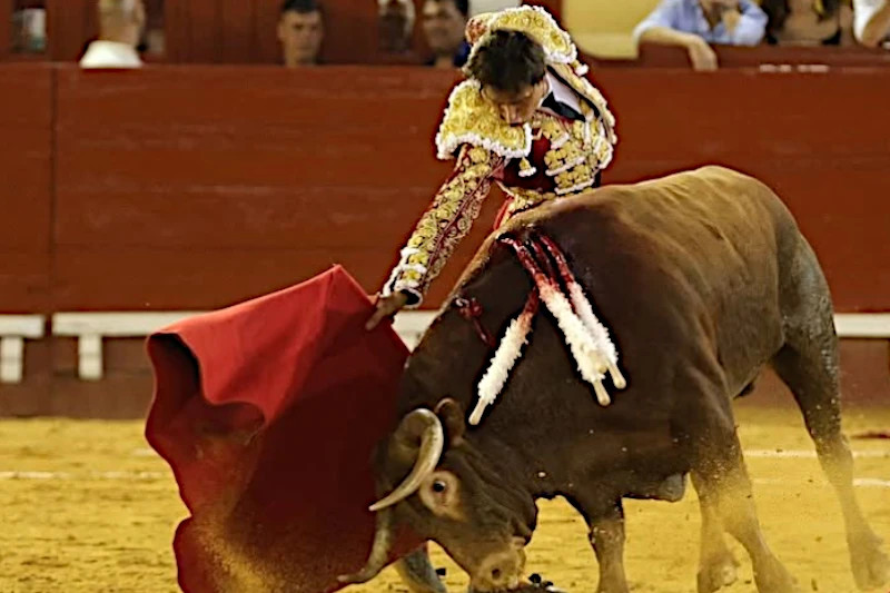 Andrés Roca Rey
