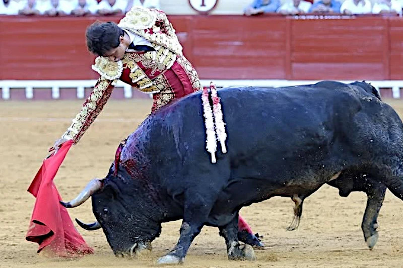 Andrés Roca Rey