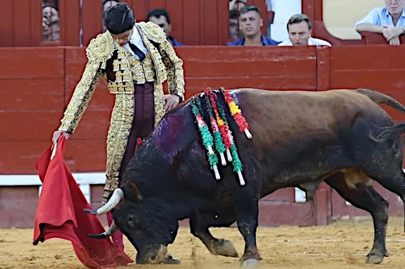 Pablo Aguado