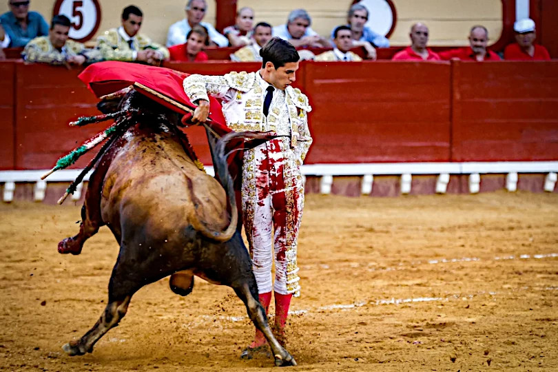 Daniel Crespo