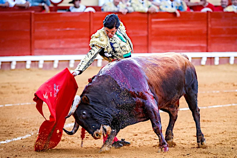 José Antonio "Morante de la Puebla"