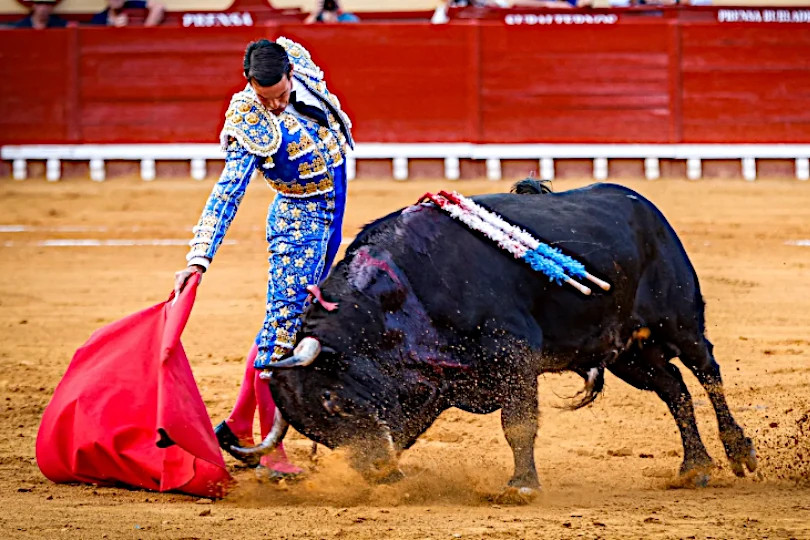 José María Manzanares