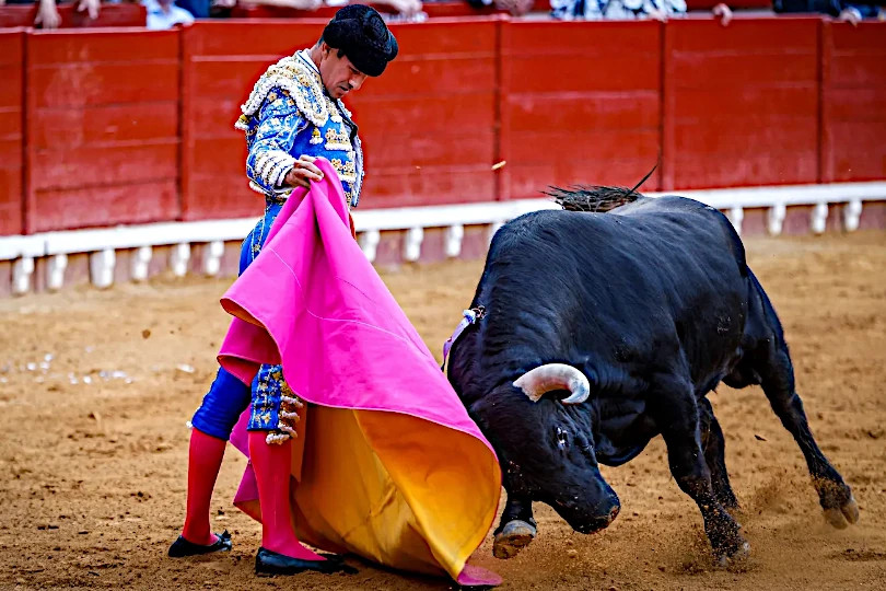 José María Manzanares