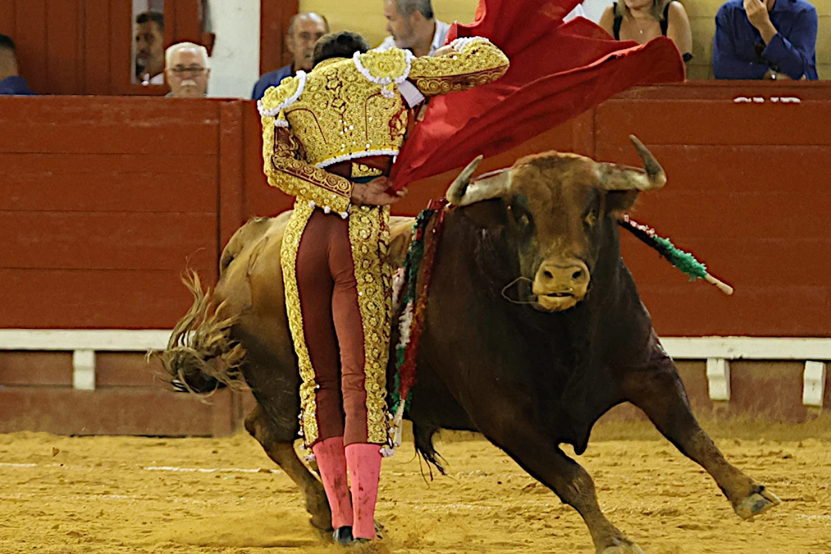 David de Miranda