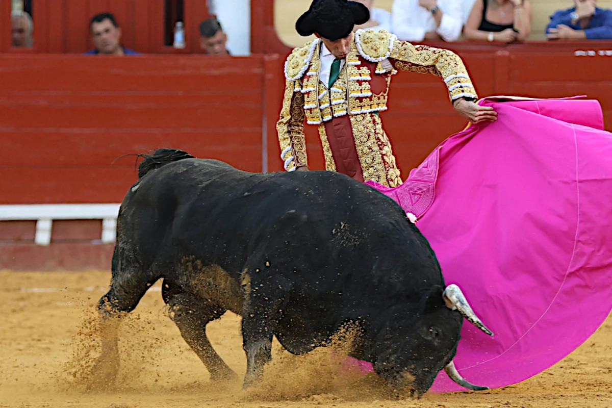 David de Miranda