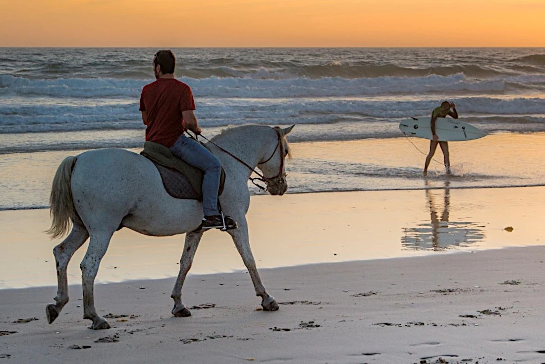 Ruta a caballo en Tarifa/ CT